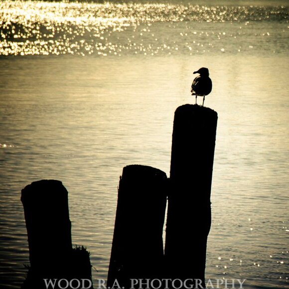 Jewelry - 🖤Thank you for your purchase🐈‍⬛